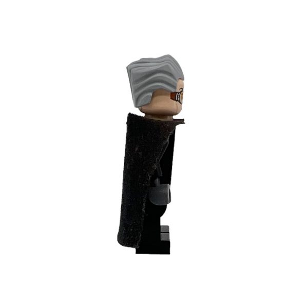 Lego harry discount potter madam hooch